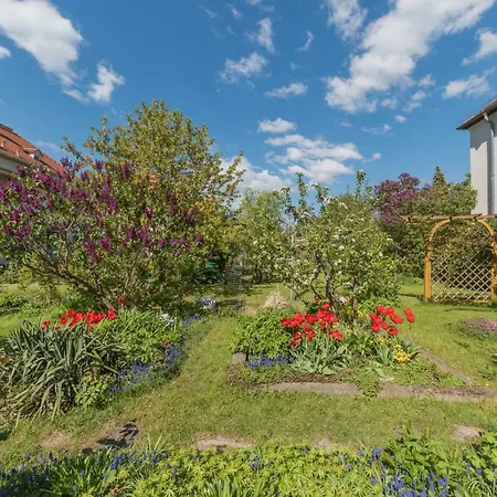 Zentrale Ferienwohnung In Gruna Im Dg Daire Dresden