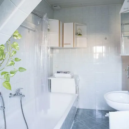 Daire Zentrale Ferienwohnung In Gruna Im Dg *