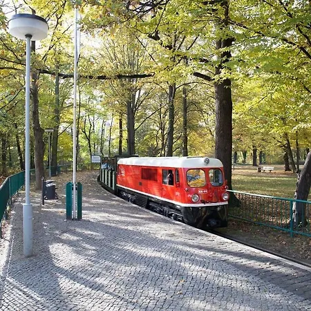 Zentrale Ferienwohnung In Gruna Im Dg Daire Dresden